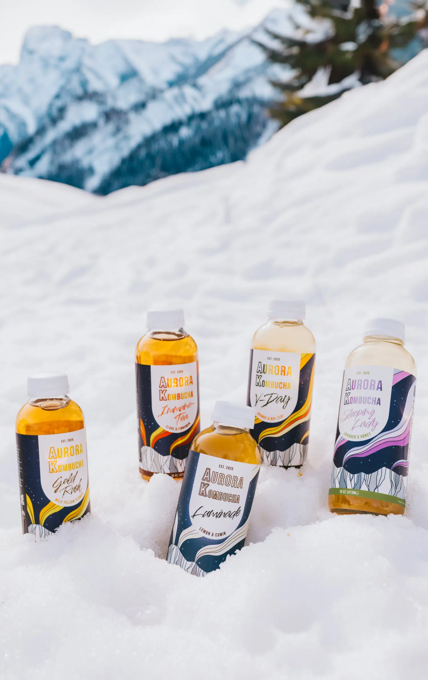 Aurora Kombucha Sleeping Lady Mockup