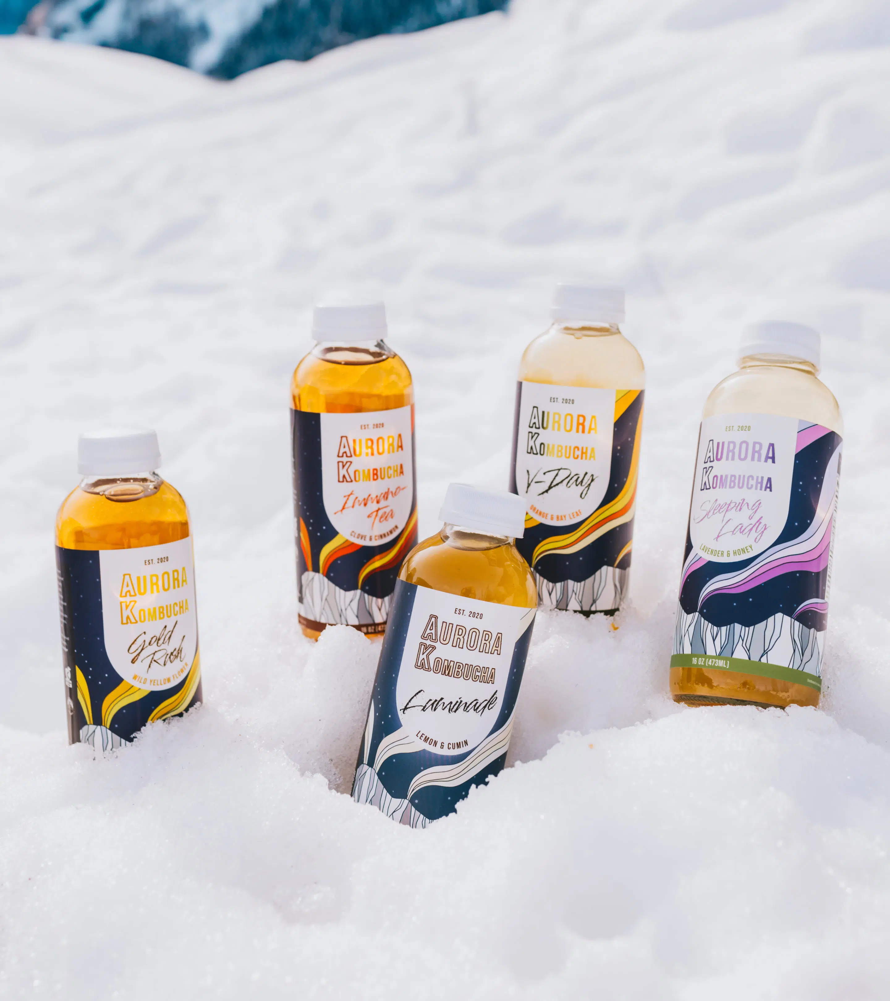 Aurora Kombucha Sleeping Lady Mockup